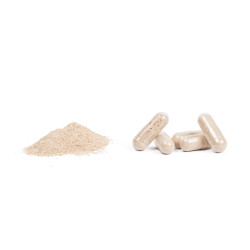 ACIDOPHILUS COMPOSTO MEDIVITAL, 60 KAPSUL 