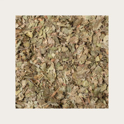BOROVNICE LISTI SOLIME, 100 G 