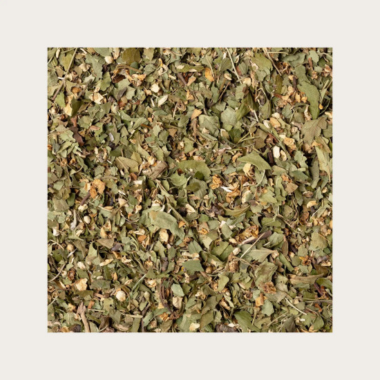 Glog (Crataegus laevigata (Por.) DC.), SOLIME, 100 G 