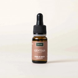 BACHOVE KAPLJICE 12, ENCIJAN - GENTIAN, SOLIME, 10 ML